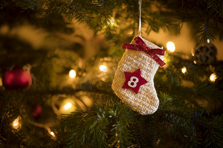 传统的农历12月8日这一天挂在一棵传统的圣诞树上.