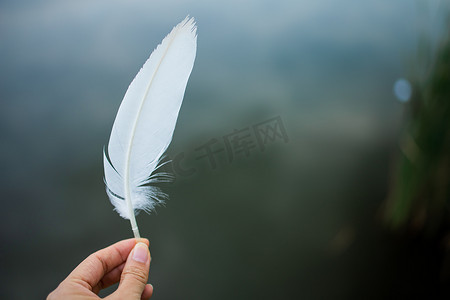 Close up woman hand holding white feather. Woman's hands with feather close-up