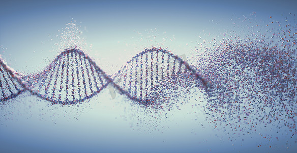 氧化性Dna损伤遗传畸变分子结构