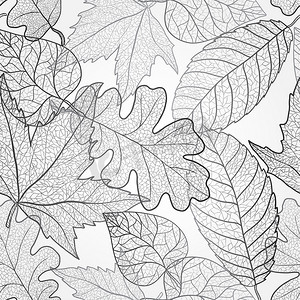 Autumn transparent maple leaves pattern background. Black and white art autumn leaves pattern. Fabric texture.