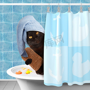 逗猫洗个澡.
