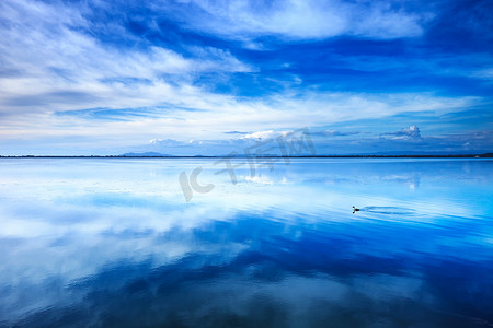 日落的蓝色风景。小鷉潜水鸟在礁湖。奥尔贝泰洛泻湖，阿根塔里奥意大利.