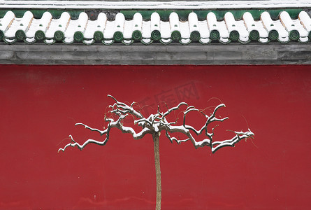 雪后的红墙和树模式