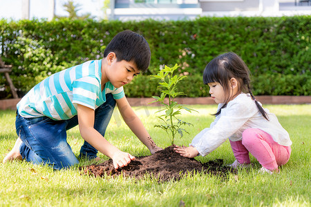 幼树摄影照片_夏日，亚洲兄弟姐妹一起在黑土上种植幼树，在自家花园拯救世界。植树。幼儿及户外休憩的概念