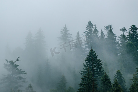 多雾的山景