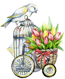 郁金香花、 金丝雀鸟和装饰鸟笼。水彩