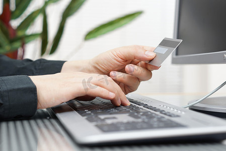 人网上支付使用信用卡和计算机。界面