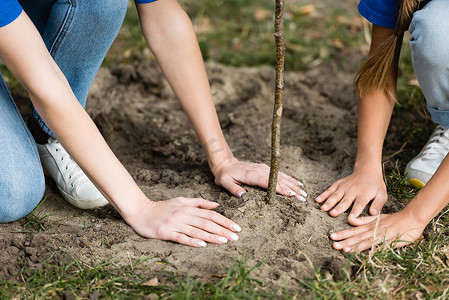 母女在森林中种植幼树的种植观、生态概念