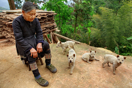 贵州省中国-旧中国女士在绿色的跑步鞋，坐在外面他回家的包围浑，米色的小狗，2010 年 4 月 10 日。岜沙苗族少数民族村。从江县.