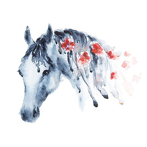 手绘美丽花朵摄影照片_火红的花朵鬃毛湿水彩马头. 
