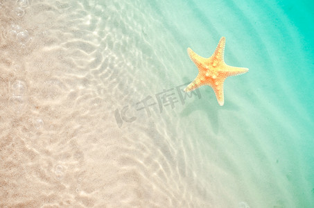 用沙子夏天海滩上的海星