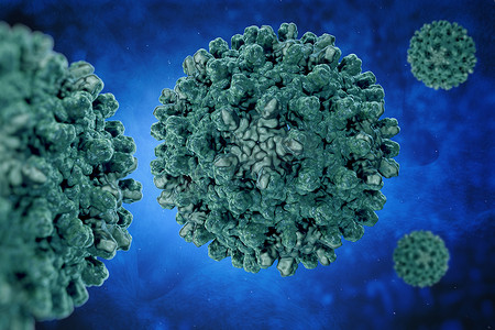 orbi家族摄影照片_乙肝病毒。乙型肝炎病毒 (Hbv) (Pdb 1qgt) 的结构, 属 Orthohepadnavirus 属的一种, 属 Hepadnaviridae 病毒家族的一部分。. 