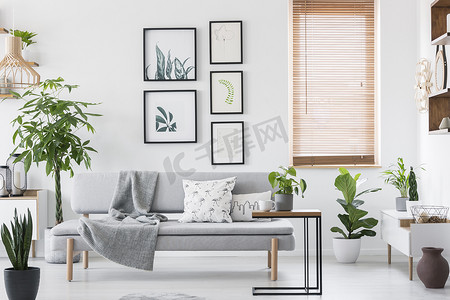 画廊与植物海报挂在墙上的明亮客厅的真实照片室内用木百叶窗和灰色沙发与垫子和毯子的窗户