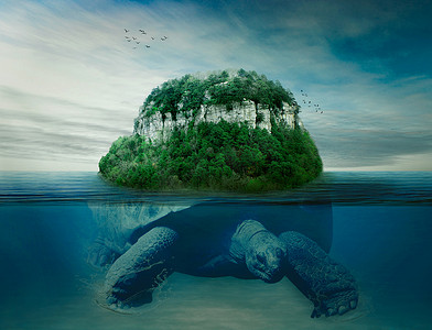 携带的巨龟岛地球上回到海洋里游泳