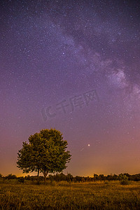 夜景: 星星、草地和一棵树。紫色和温暖的色调