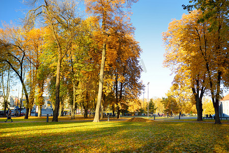 做核酸场面摄影照片_五颜六色的城市公园场面在秋天与橙色和黄色叶子。美丽的秋天风景在维尔纽斯, 立陶宛.