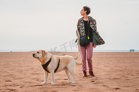 一个女孩和一只小鹿拉布拉多猎犬在沙滩上散步。带着一只狗在海上旅行