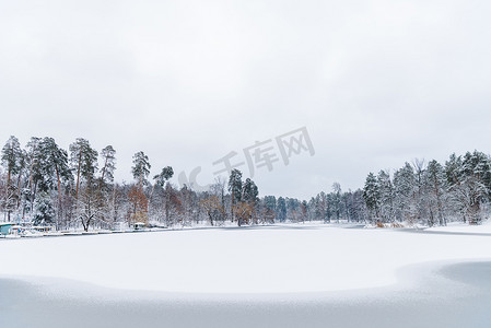 美丽的风景与雪被盖的树和结冰的湖在冬天公园 