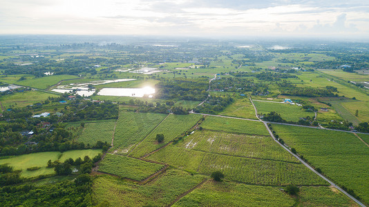 房屋与典型水稻种植或农业的鸟瞰图