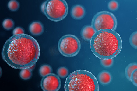 3d 显示卵细胞胚胎。中心有红色细胞核的胚胎细胞。人或动物卵细胞。医学科学理念。显微镜下细胞水平生物的发育.