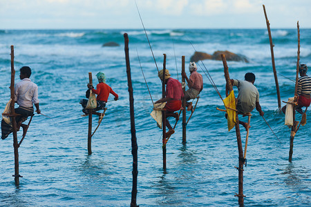 小鱼晒干摄影照片_高跷渔民斯里兰卡传统捕鱼