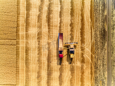 空中无人侦察机从上方看：联合收割机的谷物超载到田里的谷物卡车上。收割机将小麦倒入箱体.工作的农民。农业收获季节.