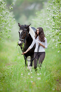 年轻女子和苹果花园里的平托马。马和美女走户外.