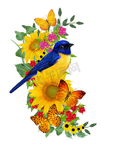 蓝鸟坐在一枝鲜红的花朵上, 黄色的向日葵, 绿叶, 美丽的蝴蝶。在白色背景下被隔离。花卉组合.