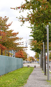 柏林电视塔摄影照片_柏林电视塔和树叶树在柏林, 德国