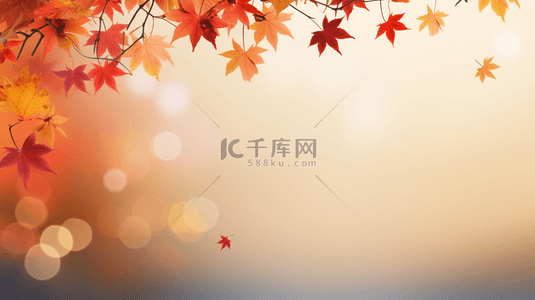 秋季枫叶简约质感纹理背景23