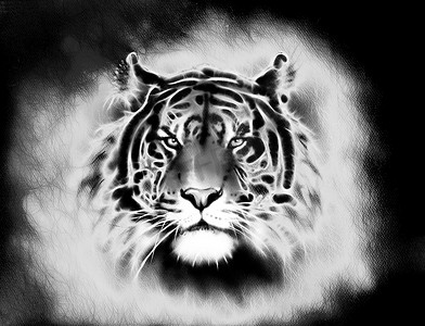 mighty摄影照片_painting of a bright mighty tiger head on a soft toned abstract background eye contact. Black and white