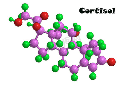 皮质醇的分子结构