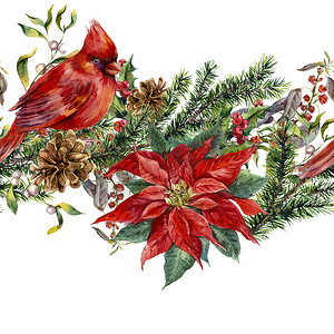 植物边框摄影照片_圣诞无缝花纹与一品红.