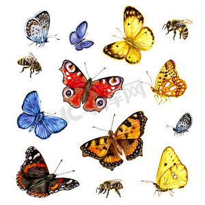 水彩套的蝴蝶和蜜蜂.