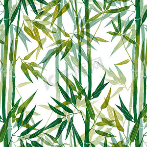 水彩花卉框架摄影照片_bamboo - seamless pattern