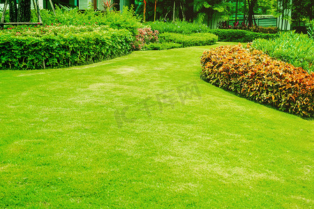 绿草，前草坪为背景，花园设计，美丽的阴影景观，花园与新修剪草坪