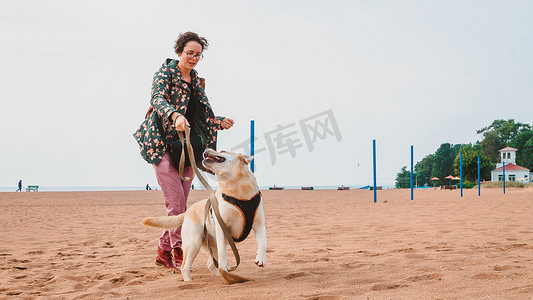 秋天，一个女孩和一只小鹿拉布拉多猎犬在沙滩上玩耍。带着一只狗在海上旅行