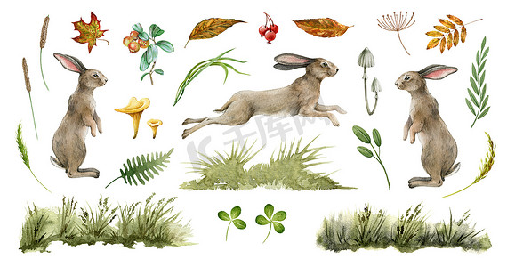 手绘跳跃兔子摄影照片_兔子动物的自然规律。水彩画。可爱的兔子站在白色的背景上跳跃.兔子，草，叶子，蘑菇收集。自然手绘元件集.毛茸茸的兔子侧视图