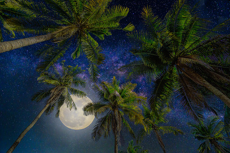 full摄影照片_Silhouette coconut palm tree with the full Moon and Milky way galaxy on night sky. (Elements of this moon image furnished by NASA)
