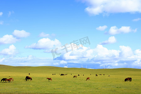 和风四面亭摄影照片_草原上的马和风力涡轮机