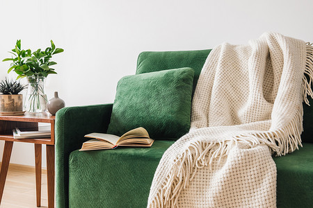 有枕头、书和毛毯的绿色沙发，靠近有植物的木制咖啡桌 