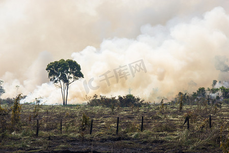 燃烧的森林摄影照片_燃烧的巴西亚马孙河流域