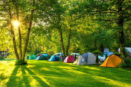 帐篷露营区，清晨的阳光