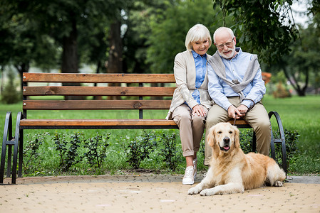 漂亮的老夫妇坐在木长凳上和可爱的狗躺在附近铺好人行道