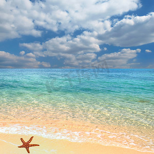 海星拟人摄影照片_海滩和海星