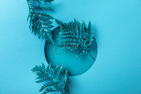 透气圆孔摄影照片_蓝纸圆孔中的蓝色装饰性植物叶 