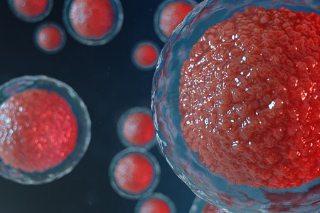 3d 显示卵细胞胚胎。中心有红色细胞核的胚胎细胞。人或动物卵细胞。医学科学理念。显微镜下细胞水平生物的发育.