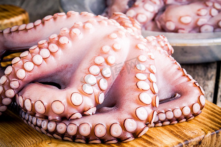 whole fresh raw octopus  on cutting board closeup