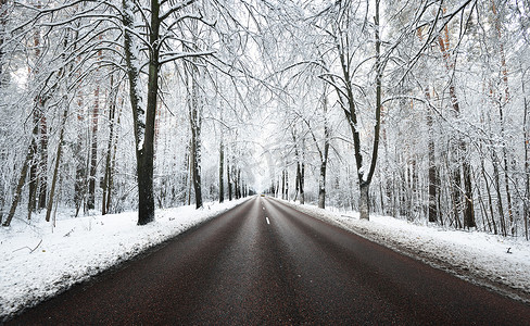 巷子里的雪覆盖树和路