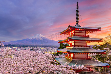塔和富士的春天